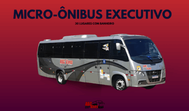 Microonibus 30 lugares com Banheiro